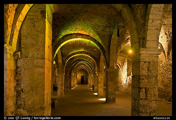 Vaulted lower room, Provins. France (color)