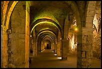 Vaulted lower room, Provins. France ( color)