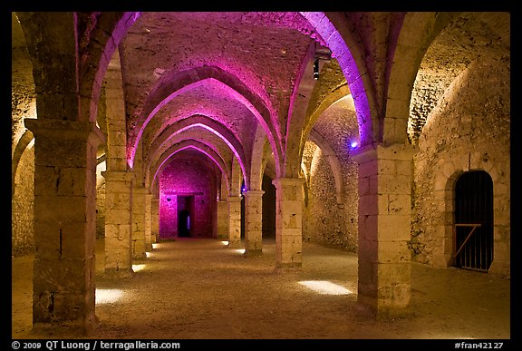 Underground gallery, Provins. France (color)