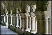 Cloister columns, Abbaye de Fontenay. Burgundy, France