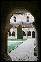 Garden seen from cloister, Abbaye de Fontenay. Burgundy, France ( color)