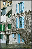 House with blue shutters and bare ivy, Montmartre. Paris, France (color)