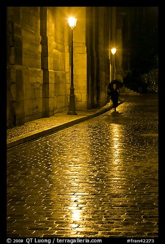 Street lamps reflected in wet pavement, with woman walking. Paris, France