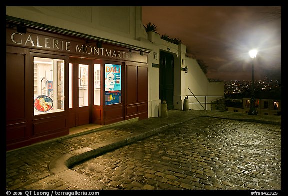 Gallery, street light, and coblestone pavement, Montmartre. Paris, France (color)