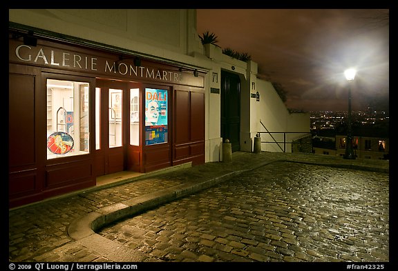 Gallery, street light, and coblestone pavement, Montmartre. Paris, France