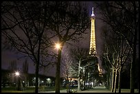 Trees in Champs de Mars and Eiffel Tower at night. Paris, France (color)