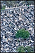 Tombs in Cimetierre du Montparnasse seen from above. Paris, France