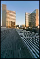 Bibliotheque Francois Mitterrand, sunset. Paris, France (color)