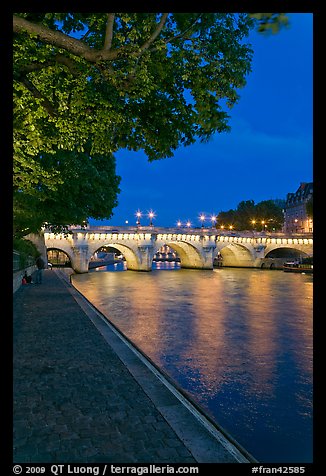 Ile de la Cite quay and illuminated Pont-Neuf. Paris, France