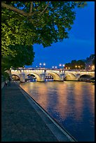 Ile de la Cite quay and illuminated Pont-Neuf. Paris, France (color)