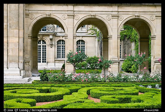 Hedges and roses in courtyard of hotel particulier. Paris, France