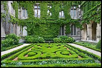 Formal garden in courtyard of hotel particulier. Paris, France