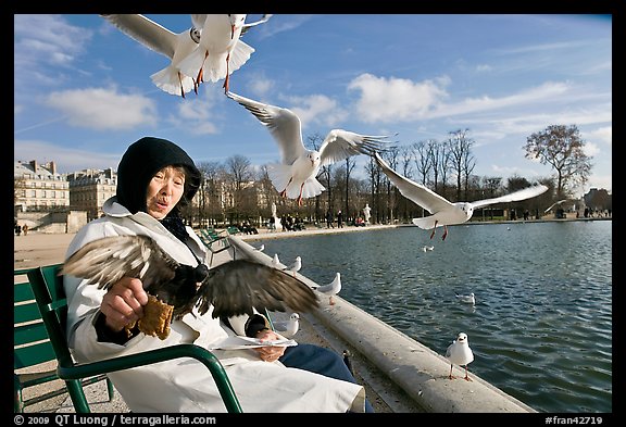 Elderly woman and seagulls, Tuileries garden. Paris, France (color)