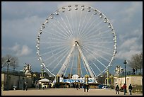 La grande roue from the Tuileries Garden. Paris, France