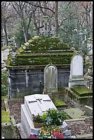 Mossy tombs, Pere Lachaise cemetery. Paris, France