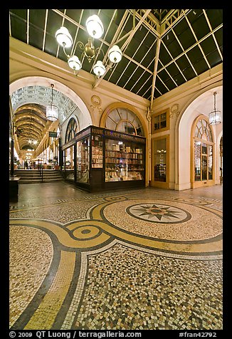 Mosaic, passage Vivienne. Paris, France (color)