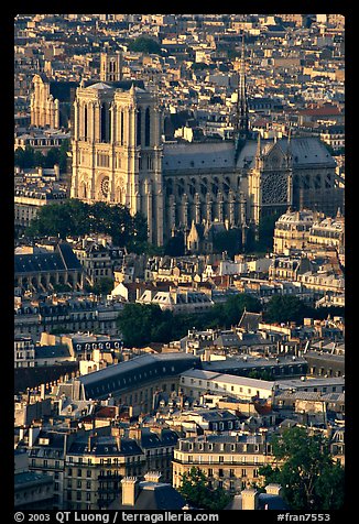 Notre Dame seen from the Montparnasse Tower, late afternoon. Paris, France (color)