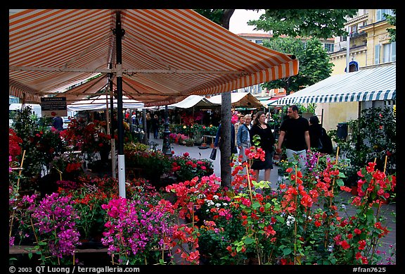 Flower Market, Nice. Maritime Alps, France (color)