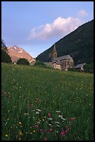 Meadow, Villar d'Arene village, ridge, sunset. France (color)