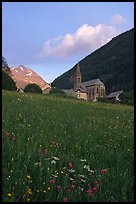 Meadow, Villar d'Arene village, ridge, sunset. France ( color)