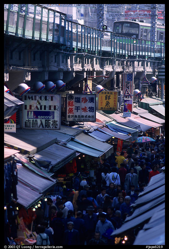 Alley lined with stores beneath the subway in a popular district. Tokyo, Japan