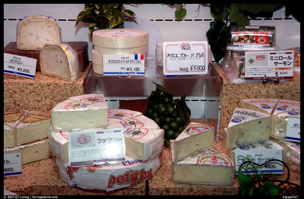 Incredibly high priced imported cheese in a department store. Tokyo, Japan