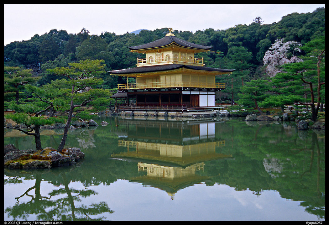 Golden pavilion, Kinkaku-ji Temple. Kyoto, Japan