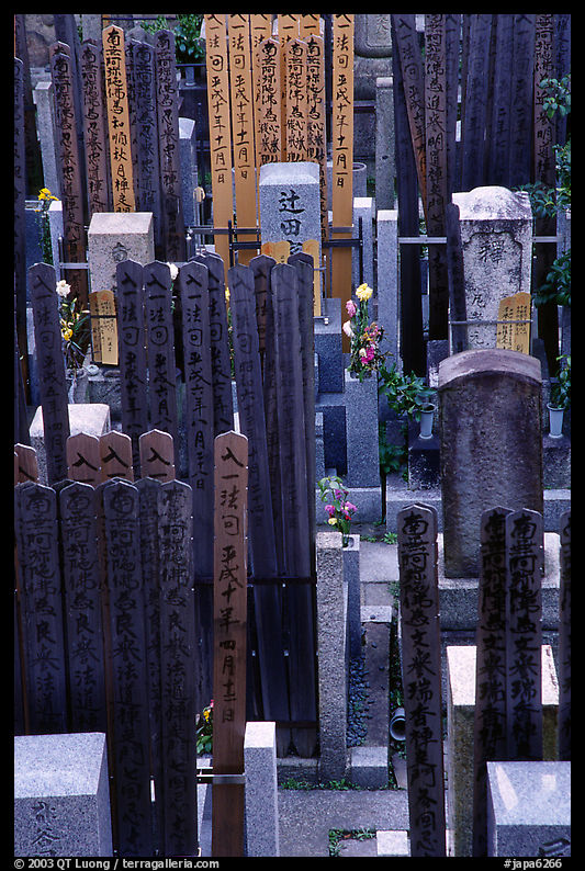 Cemetery in a courtyard. Kyoto, Japan
