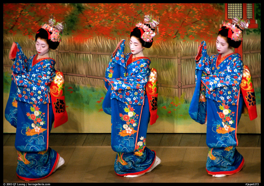 Maiko (apprentice Geisha) dress elaborately to perform the Miyako Odori (cherry blossom dance). Kyoto, Japan