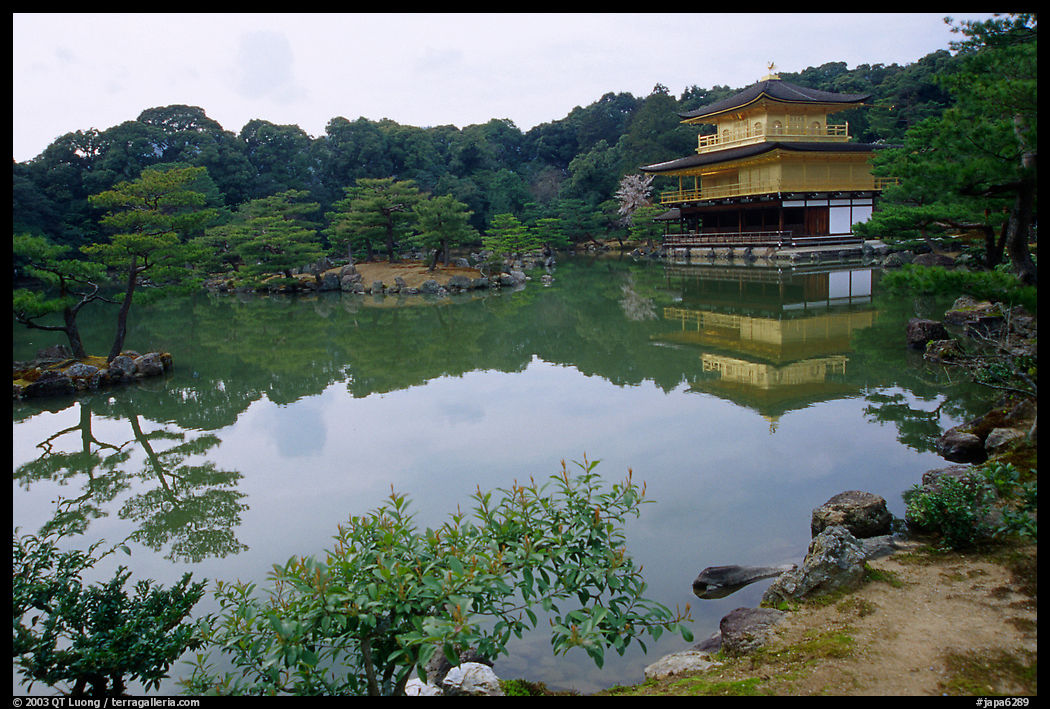 Golden pavilion, Kinkaku-ji Temple. Kyoto, Japan