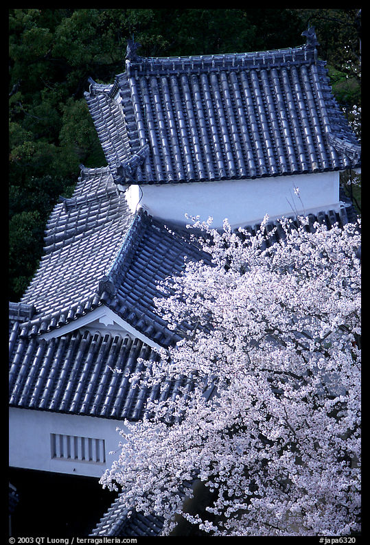 Rooftops and cherry trees seen from the castle donjon. Himeji, Japan