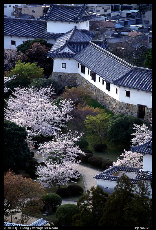 Castle grounds with blossoming cherry trees. Himeji, Japan