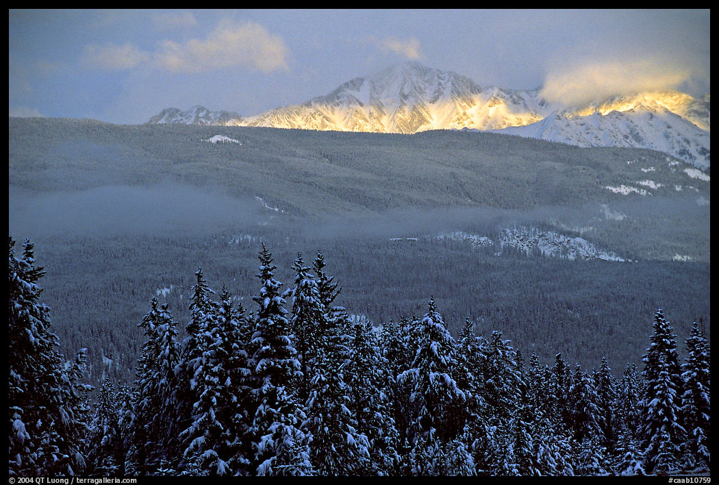 Snowy peaks hit by a ray of sun after a winter storm. Banff National Park, Canadian Rockies, Alberta, Canada