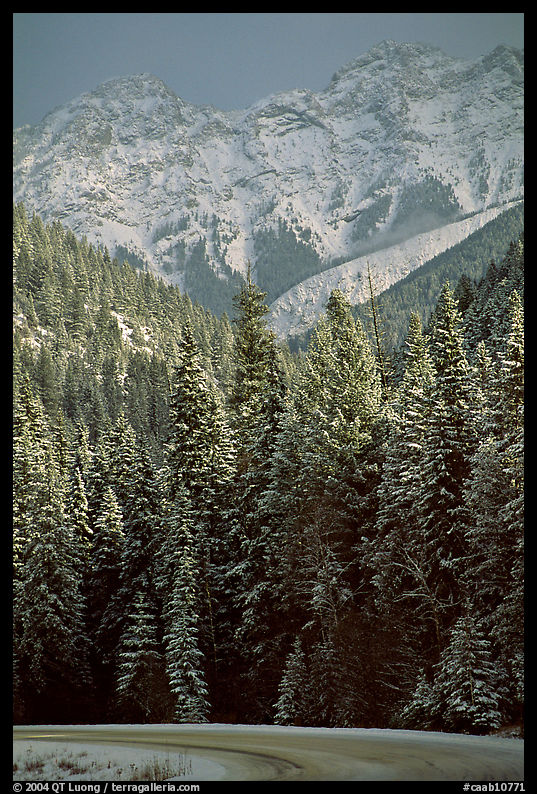 Snowy forest and mountains in storm light seen from the road. Banff National Park, Canadian Rockies, Alberta, Canada