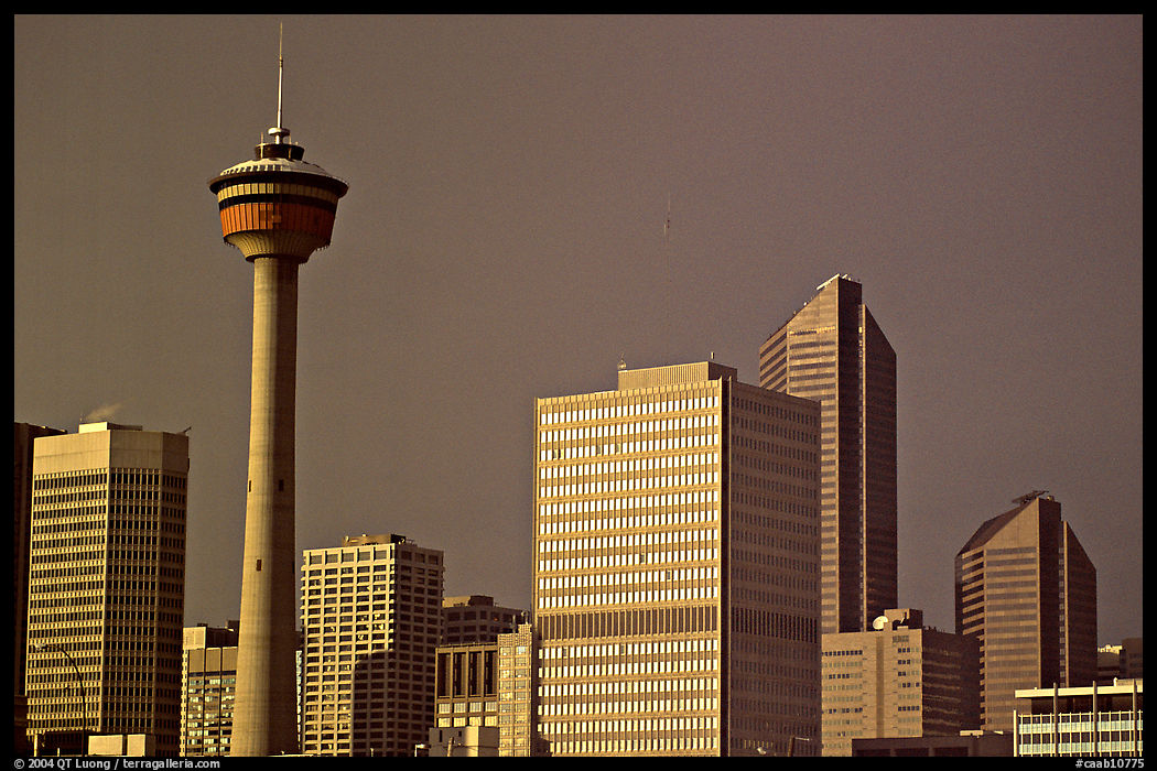 Calgary tower and skyline, late afternoon. Calgary, Alberta, Canada