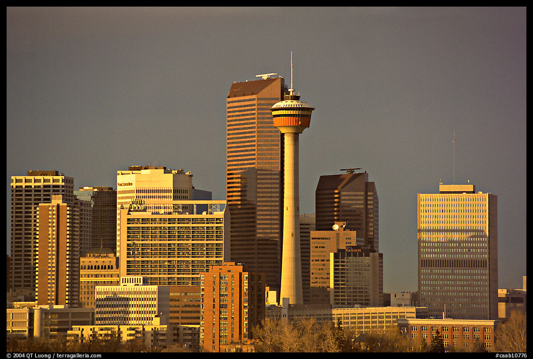 Skyline and tower, late afternoon. Calgary, Alberta, Canada