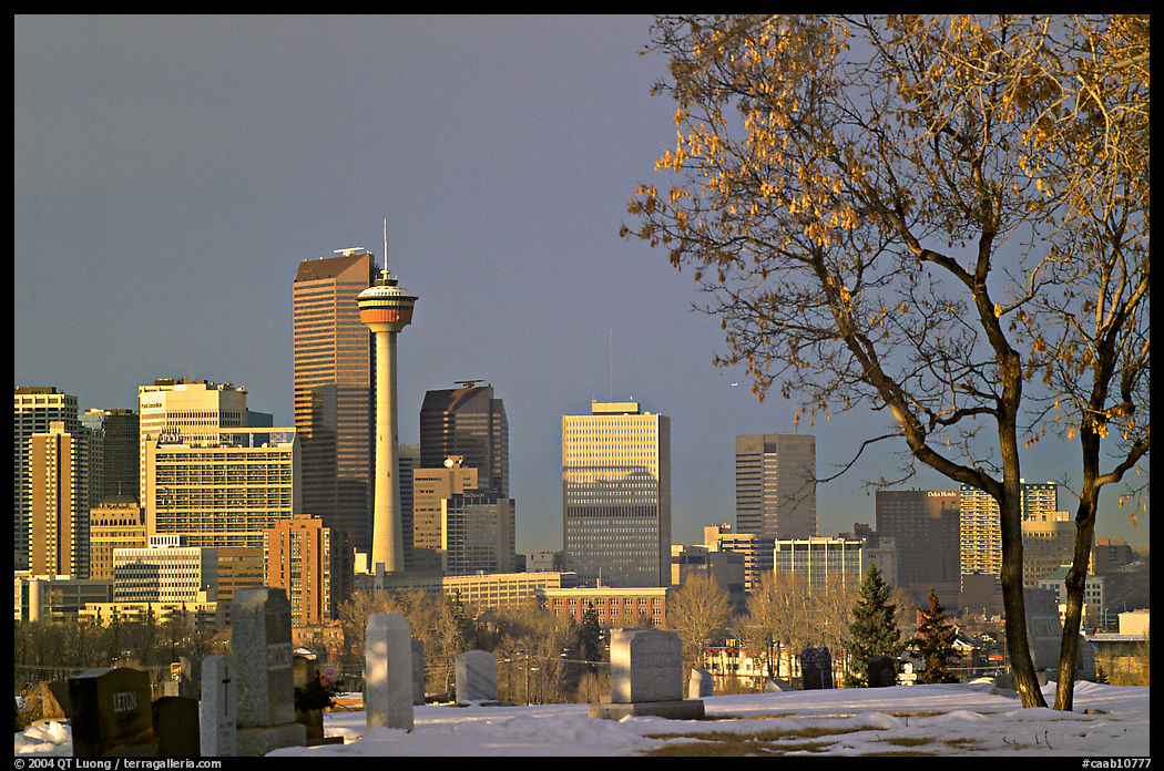 Calgary skyline seen from the cemetery in winter. Calgary, Alberta, Canada