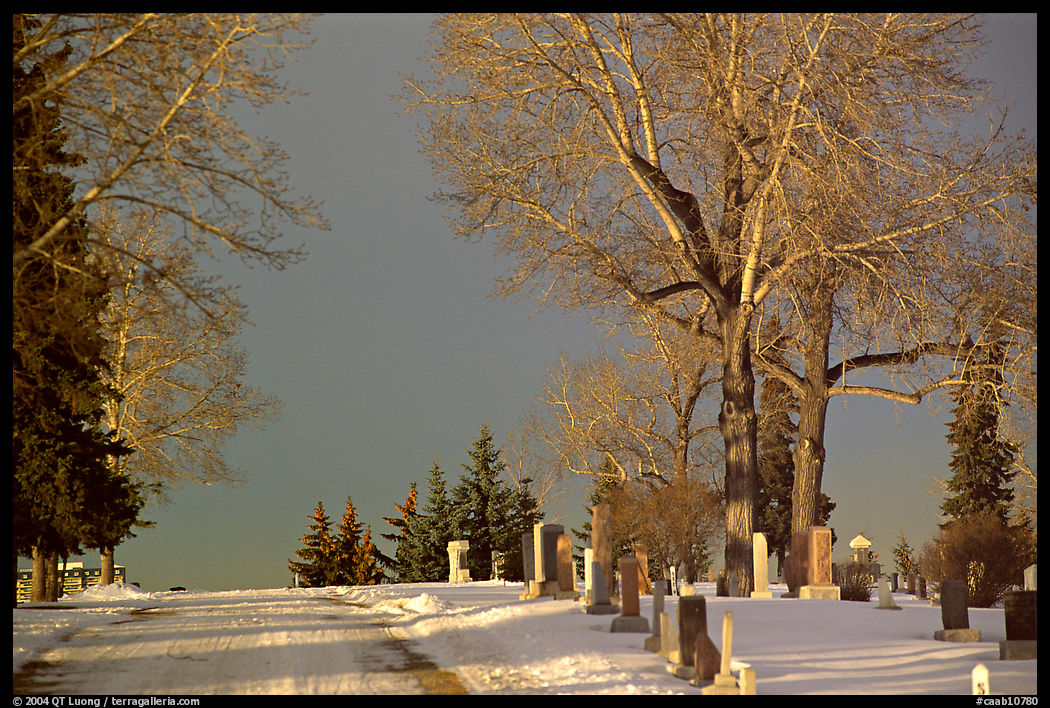Cemetery in winter. Calgary, Alberta, Canada