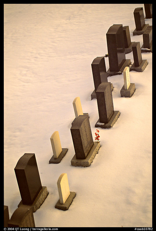 Tombstones in snow. Calgary, Alberta, Canada