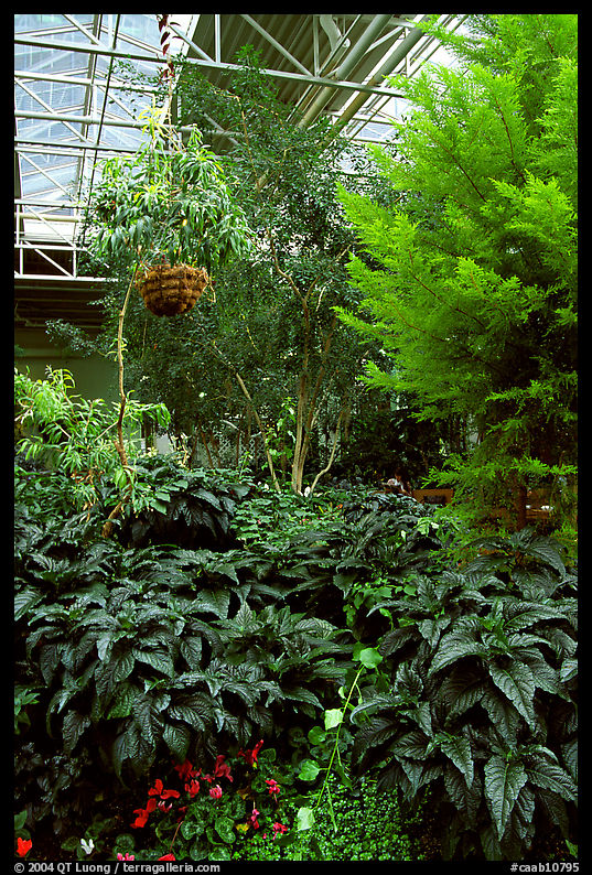 Indoor garden. Calgary, Alberta, Canada