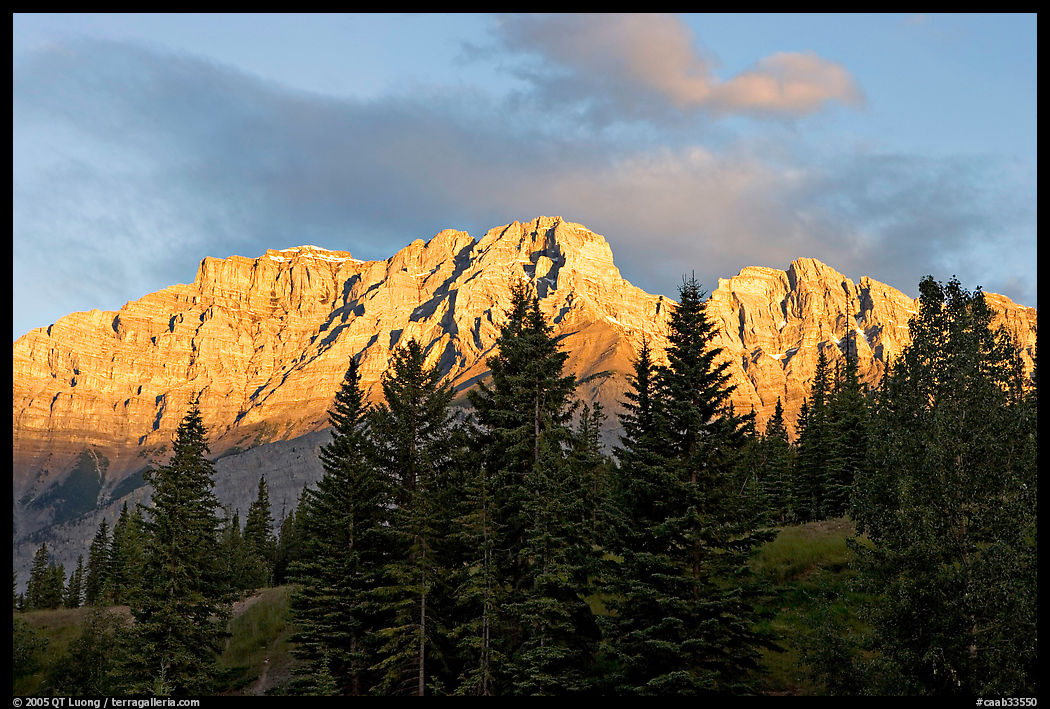 Peaks and conifers near Two Jack Lake, sunrise. Banff National Park, Canadian Rockies, Alberta, Canada