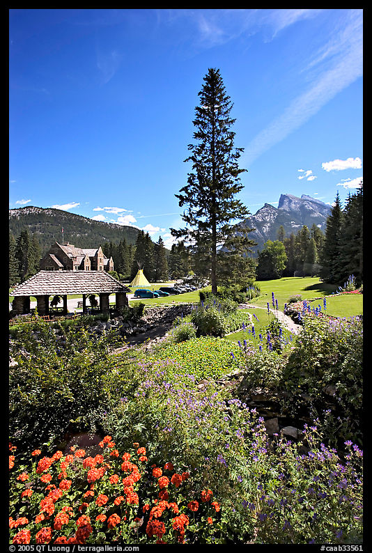 Flowers in Cascade Gardens. Banff National Park, Canadian Rockies, Alberta, Canada