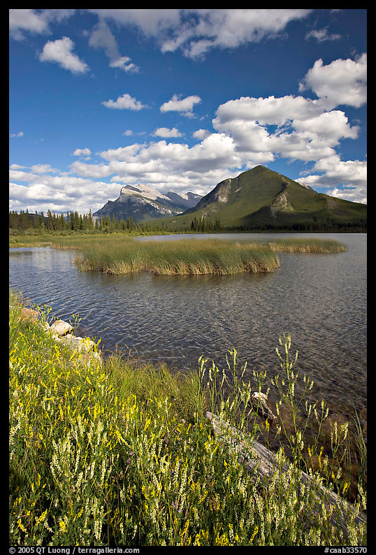 Mt Rundle and second Vermillion lake, afternoon. Banff National Park, Canadian Rockies, Alberta, Canada