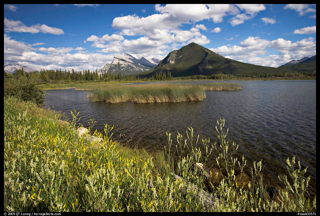 Mt Rundle and second Vermillion lake, afternoon. Banff National Park, Canadian Rockies, Alberta, Canada