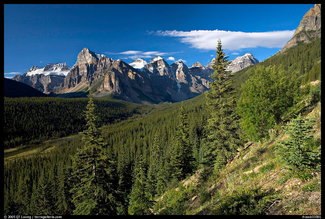 Valley of Ten Peaks, early morning. Banff National Park, Canadian Rockies, Alberta, Canada