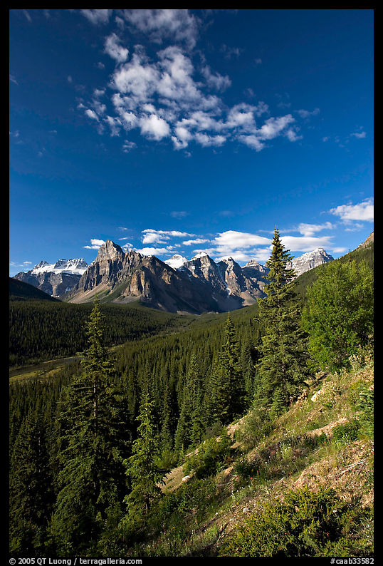 Valley of Ten Peaks, early morning. Banff National Park, Canadian Rockies, Alberta, Canada