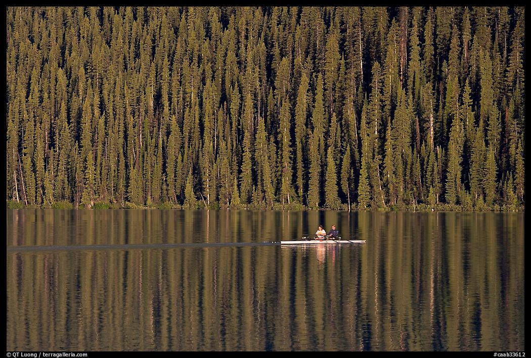 Rower on Lake Louise with forest reflection, early morning. Banff National Park, Canadian Rockies, Alberta, Canada