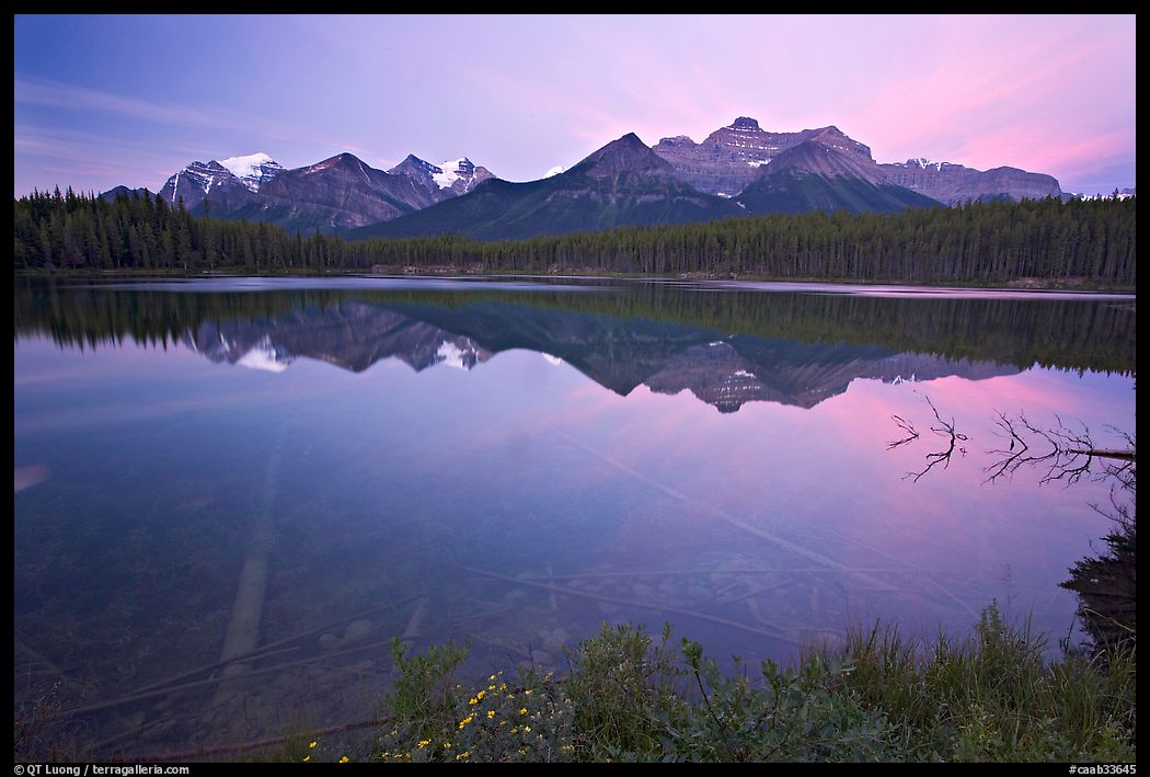 Bow range reflected in Herbert Lake, dawn. Banff National Park, Canadian Rockies, Alberta, Canada