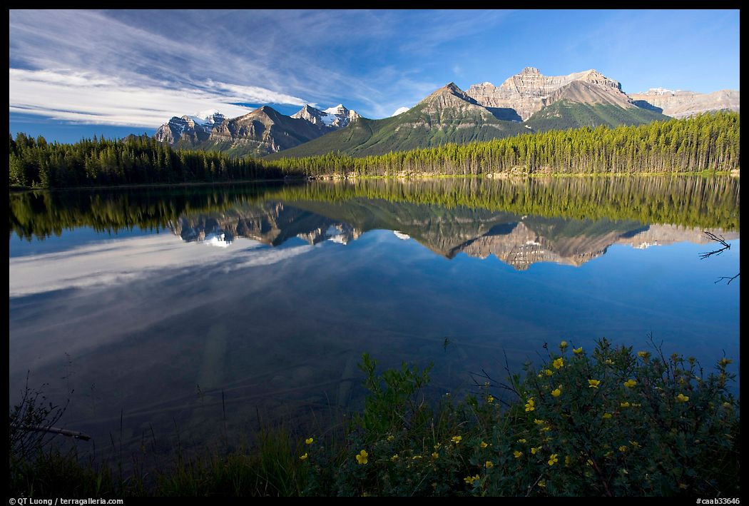 Bow range reflected in Herbert Lake, early morning. Banff National Park, Canadian Rockies, Alberta, Canada