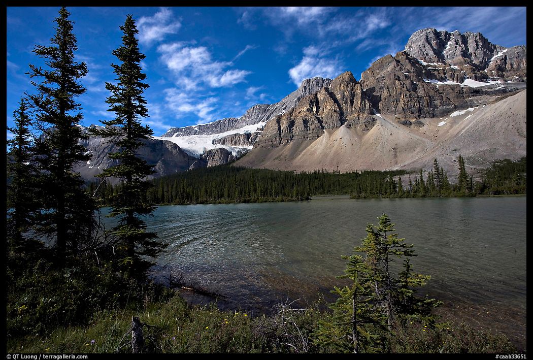Bow Lake shoreline,  Crowfoot Mountain and Crowfoot Glacier. Banff National Park, Canadian Rockies, Alberta, Canada